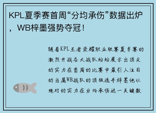 KPL夏季赛首周“分均承伤”数据出炉，WB梓墨强势夺冠！