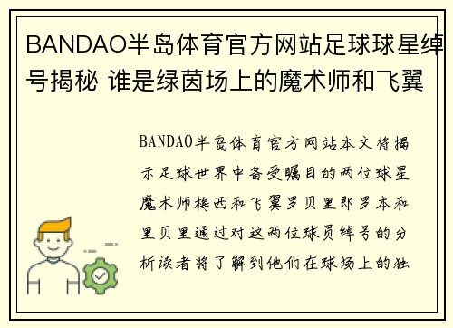 BANDAO半岛体育官方网站足球球星绰号揭秘 谁是绿茵场上的魔术师和飞翼 - 副本