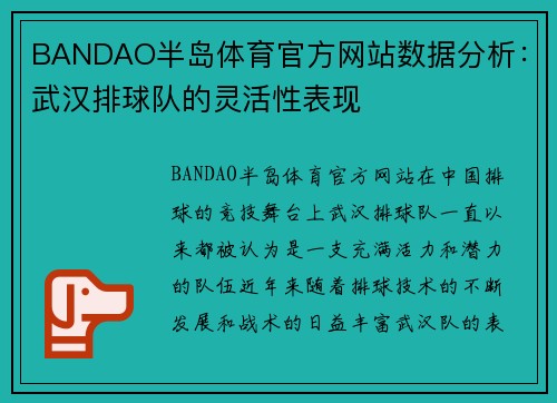 BANDAO半岛体育官方网站数据分析：武汉排球队的灵活性表现
