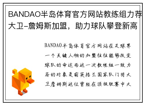 BANDAO半岛体育官方网站教练组力荐大卫-詹姆斯加盟，助力球队攀登新高峰